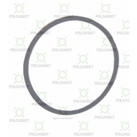 Gasket for Agricultural armature / 100F 50.22