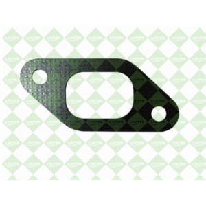 Gasket for Chinese engine / 0900291 ZACH